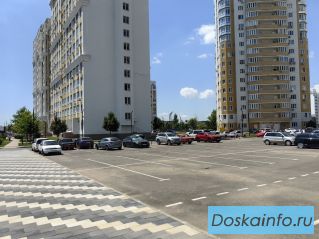 Уютная квартира с красивым видом из окна