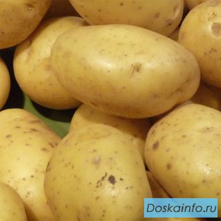 Овощи оптом с ежедневной отгрузкой из Алтайского края