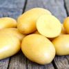 Оптовый поставщик овощей на осенне-зимний сезон