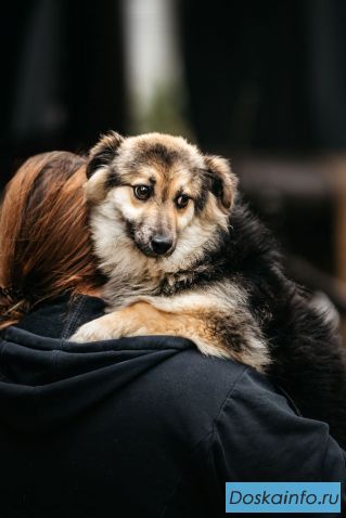 Гэлакси, девочка, в чьих глазах целая вселенная