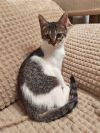 Уменьшенная картинка