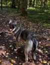 Уменьшенная картинка