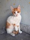 Уменьшенная картинка