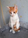 Уменьшенная картинка
