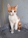 Уменьшенная картинка