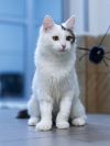 Уменьшенная картинка