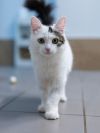 Уменьшенная картинка