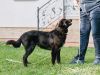 Уменьшенная картинка