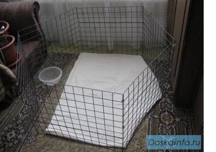 Манежи клетки