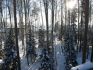 Уменьшенная картинка