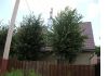 Уменьшенная картинка