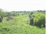 Уменьшенная картинка