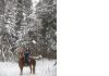 Уменьшенная картинка
