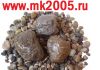 Уменьшенная картинка