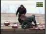 Уменьшенная картинка