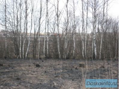Продам 2 смежных участка Козино, ленинградское шоссе  50км