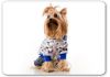 Одежда для собак Life dog