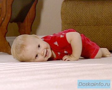 Чистка ковров и мягкой мебели на дому в Москве