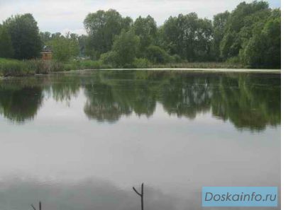 Продается земельный участок каширское ш. д.Куртино