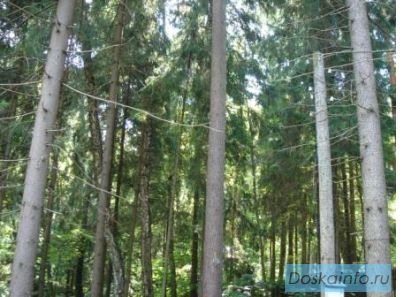 Продам участок в академических дачах РАН Луцино