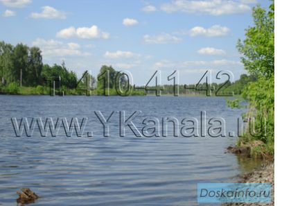 Участок на Дмитровском ш., 65 км.
