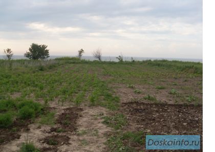 Продаю участок с домом на берегу Азовского моря