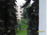 Уменьшенная картинка