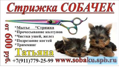 Стрижка собак от 600руб! ПОМЫТОЙ Собачке, СКИДКА 100 руб., на дому или выезд(все районы)