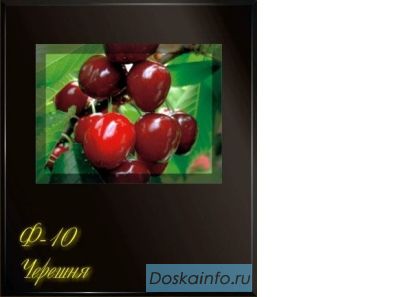 Декоративные защитные фартуки для варочной панели
