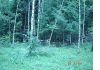 Уменьшенная картинка