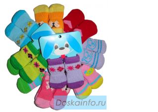 Одежда и аксессуары для собак