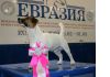 Уменьшенная картинка
