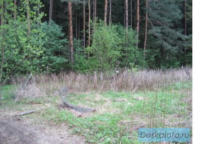 Продам участок Алабушево, пятницкое шоссе 23 км