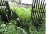 Уменьшенная картинка