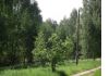 Уменьшенная картинка