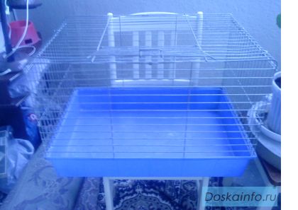Клетку для декоративных животных