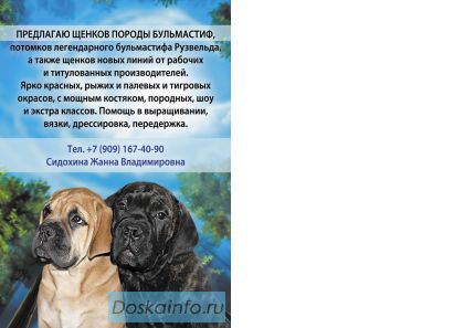 Бульмастифа элитных щенков предлагаю