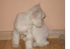 Нежные стрижки котов и кошечек у вас на дому,в салоне. Стрижка персидских, сибирских и др. котов и к