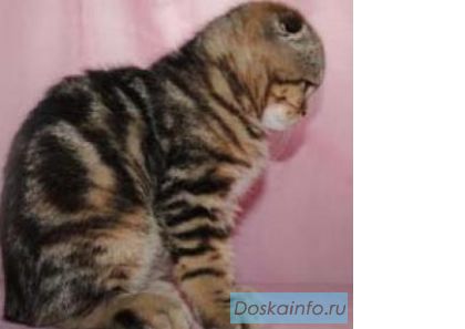 Недорого