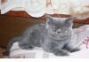Уменьшенная картинка