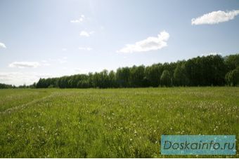 Продаю земельный участок. 12 соток. недорого 