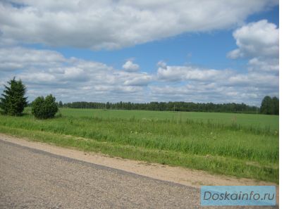 Продам большой земельный участок