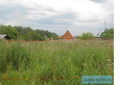 Участок у леса