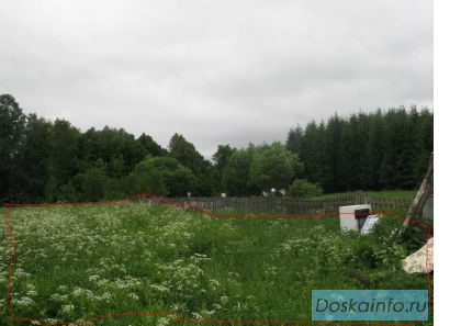 Участок по границе с лесом
