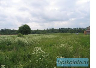 Участок 25 соток, Ярославское ш. 90км. от МКАД  