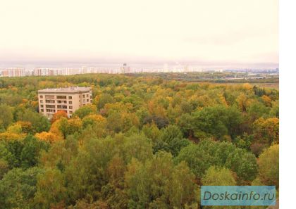 Продажа квартиры с видом на Суворовский парк 