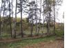 Уменьшенная картинка