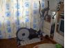 Уменьшенная картинка