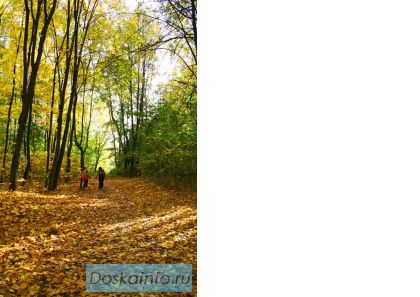 Участок в Одинцовском районе