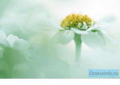 Видеомонтаж Ваших записей